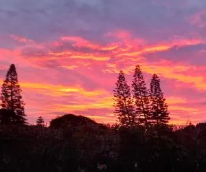 Ocean Mist - Bathurst