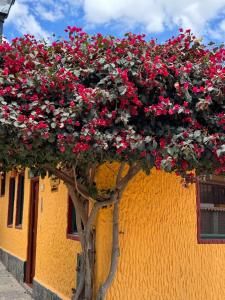 Casa Mostaza Pueblito Boyacense