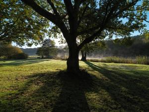 Plas Nanteos Mansion