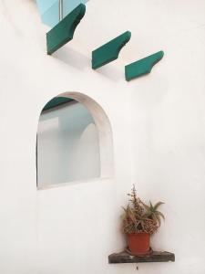 Calma Fuerteventura apartment on the most amazing beach in Fuerteventura