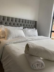 Tranquil bryanston apartment