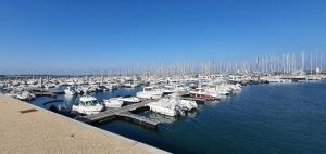 Appartements Ker Mamette Bel Appartement en bord de mer : Appartement - Vue sur Mer