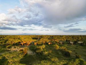 Africa Safari South Serengeti Ndutu Camping