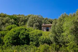 Queen Room with Private Pool room in Experience Relais  Il Termine Elba 
