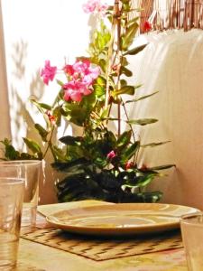 Casa Dos Angeles - In the sunny south of Tenerife