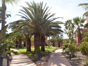 Tamarindo Piscinas De Agua Salada - Fibra ptica