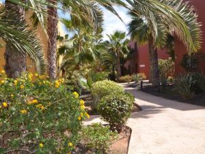 Tamarindo Piscinas De Agua Salada - Fibra ptica