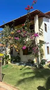 Stone Guajiru - Трайрі