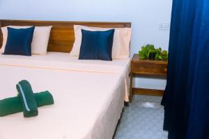 Mirissa Turtle Point Guest