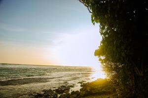 Mirissa Turtle Point Guest