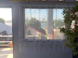 Hans Surfer Homestay