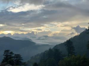 aman place homestay river touch