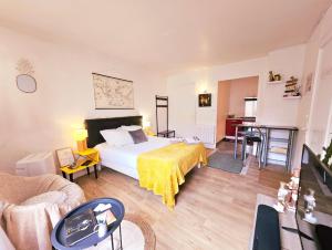 Appartements Charmant Studio proche centre avec balcon+parking : photos des chambres