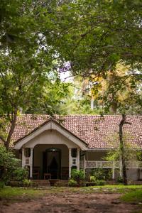 Cadjan Sacred Anuradhapura