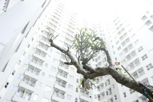 Comfy & Scenic Studio Apartment at Parahyangan Residence near UNPAR By Travelio