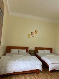Time House - Tours & Motorbikes Rental