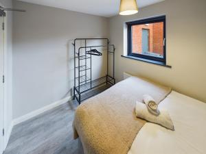 Bright and Cozy 1 Bedroom Apartment in Belfast