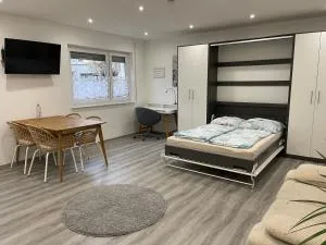 Studio-Apartment nahe Zentrum - Kieselbronn