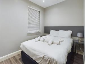 1 Bed Apartment South Belfast