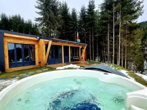 Ținutul Lupilor - 皮亚特拉凡塔讷勒