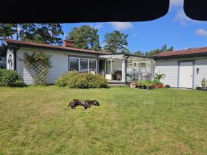 Fint litet hus i Mellbystrand