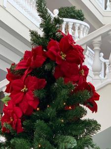 Luxury Royal apartment