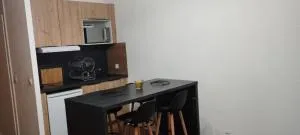 Studio à 300M des pistes - Seytroux