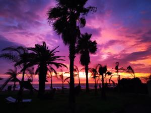 Appart'hotels Residence San Pellegrino : photos des chambres