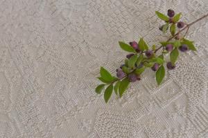 Villa Isola Bella - Vintage img19