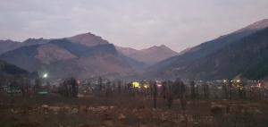 Ekaant Stays - Manali