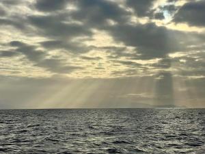 Château des Fougères Trouville sur Mer