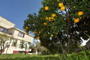 Villa Isola Bella - Vintage img38