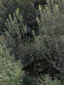 Kefi bakehouse and Stays