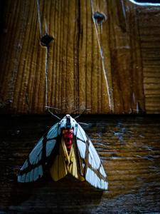 Kefi bakehouse and Stays