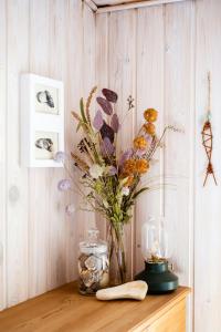 North Jutland Nature Near Thorup Beach