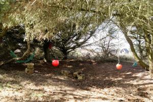 Atmosphere Close To Water Surrounded By Pines