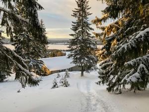 Mountain Cabin With A View Near Duved And Åre