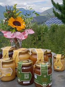 Lechnerhof - Clara´s Mountain Lodge