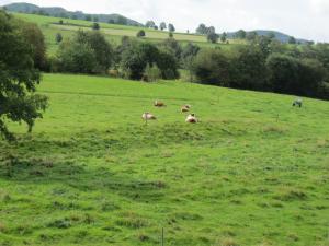 Ferienwohnung Gertraud Müller