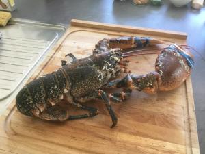 Appartements Soizic' house : photos des chambres