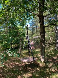 Swedish-Inspired Home In Oddens Forest