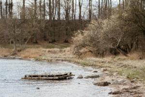 Small House With View Of The Limfjord
