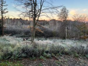 Cozy Family Summer House Near Høve Beach