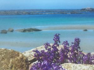 Appartements Soizic' house : photos des chambres