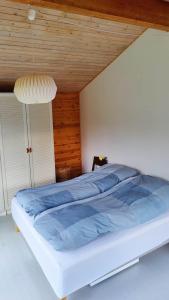 Atmosphere And Space At The Home By Vig