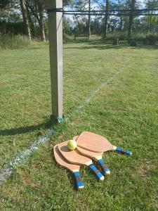 Green House Hidden Among Trees