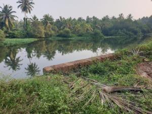 Farmville Riverside