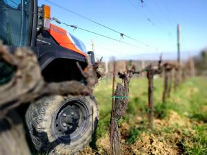 Wild Agriturismo Podere della Bruciata