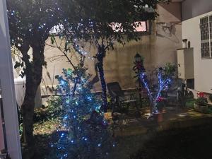 Domus Parva, appartamento con giardino