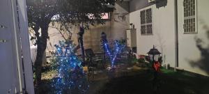 Domus Parva, appartamento con giardino